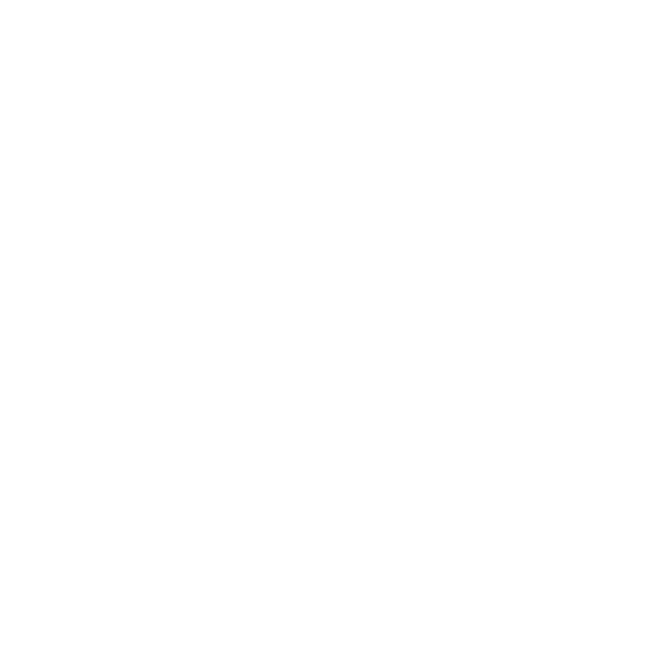 Custom Systems